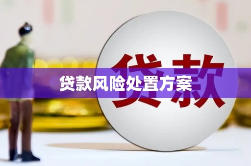 正宁贷款风险处置方案