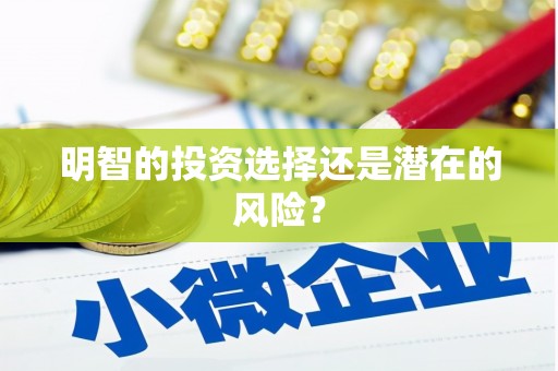 正宁明智的投资选择还是潜在的风险？