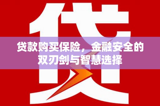 正宁贷款购买保险，金融安全的双刃剑与智慧选择