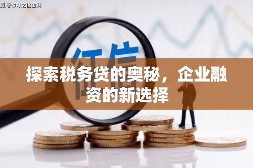 正宁探索税务贷的奥秘，企业融资的新选择