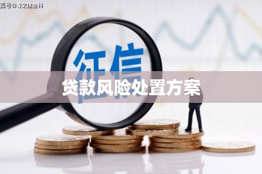 正宁贷款风险处置方案