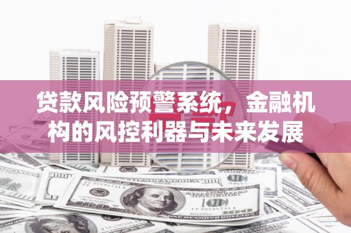 正宁贷款风险预警系统，金融机构的风控利器与未来发展