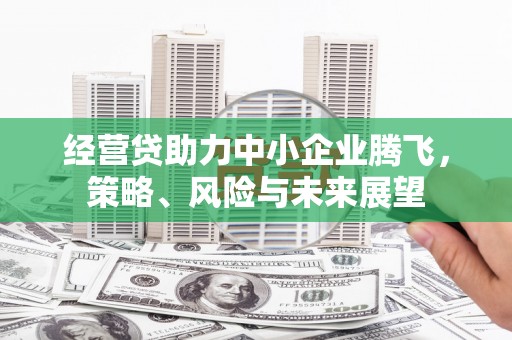 正宁经营贷助力中小企业腾飞，策略、风险与未来展望
