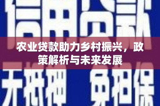 正宁农业贷款助力乡村振兴，政策解析与未来发展