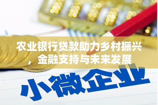 正宁农业银行贷款助力乡村振兴，金融支持与未来发展