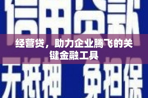 正宁经营贷，助力企业腾飞的关键金融工具
