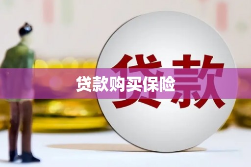 正宁贷款购买保险