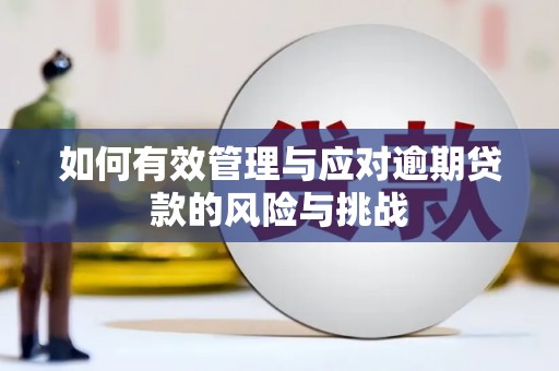 正宁如何有效管理与应对逾期贷款的风险与挑战