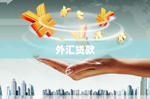 正宁外汇贷款
