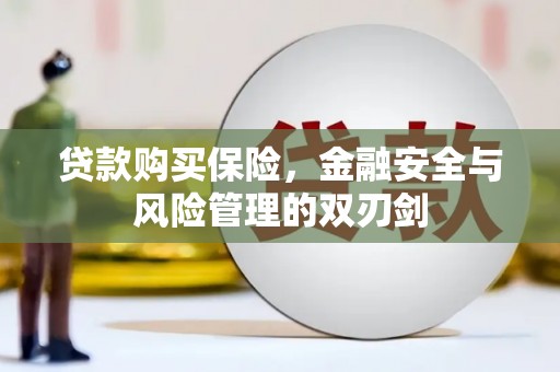 正宁贷款购买保险，金融安全与风险管理的双刃剑