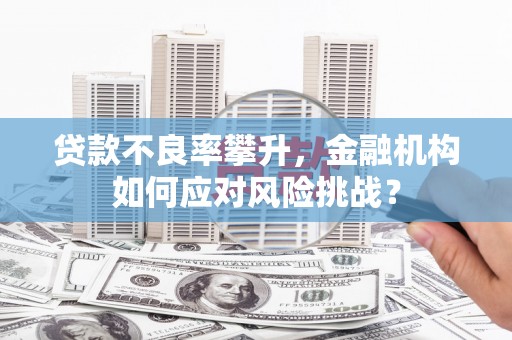 正宁贷款不良率攀升，金融机构如何应对风险挑战？
