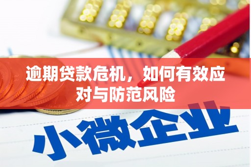 正宁逾期贷款危机，如何有效应对与防范风险