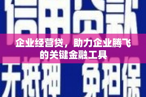 正宁企业经营贷，助力企业腾飞的关键金融工具