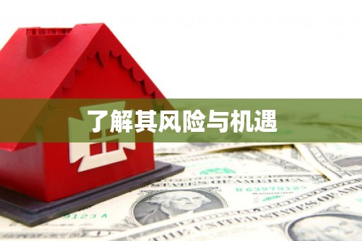 正宁了解其风险与机遇