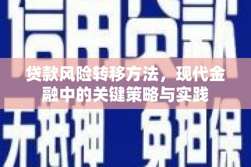 正宁贷款风险转移方法，现代金融中的关键策略与实践