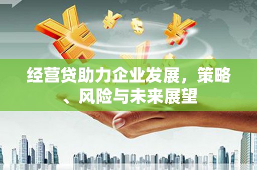 正宁经营贷助力企业发展，策略、风险与未来展望
