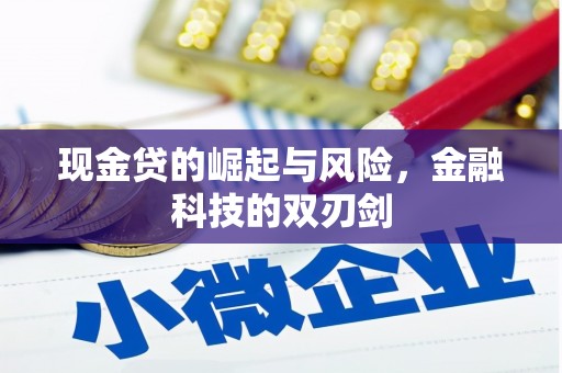 正宁现金贷的崛起与风险，金融科技的双刃剑