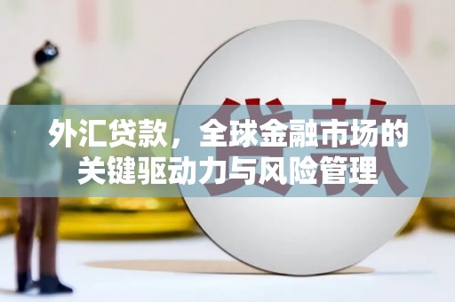 正宁外汇贷款，全球金融市场的关键驱动力与风险管理