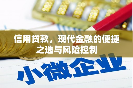 正宁信用贷款，现代金融的便捷之选与风险控制