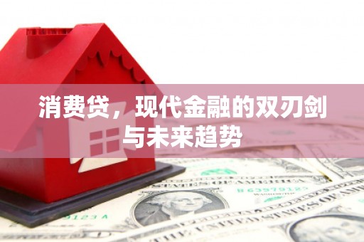正宁消费贷，现代金融的双刃剑与未来趋势