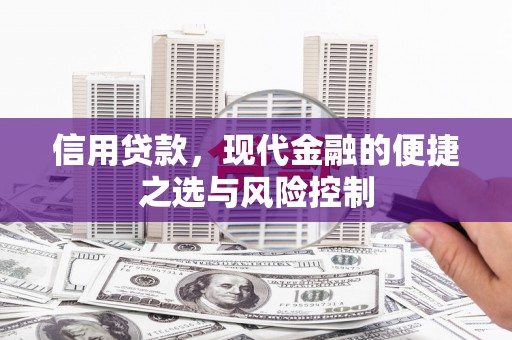 正宁信用贷款，现代金融的便捷之选与风险控制
