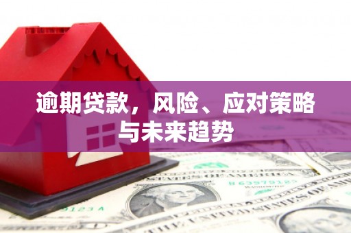 正宁逾期贷款，风险、应对策略与未来趋势
