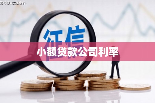 正宁小额贷款公司利率