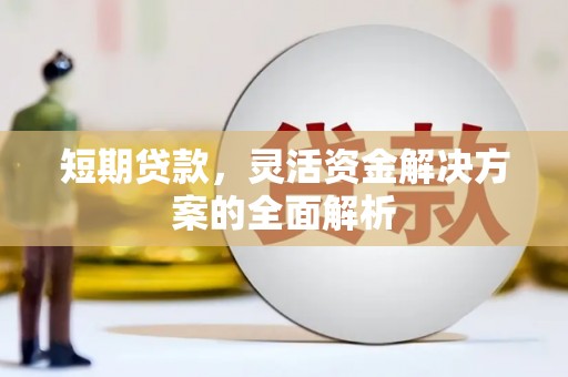 正宁短期贷款，灵活资金解决方案的全面解析