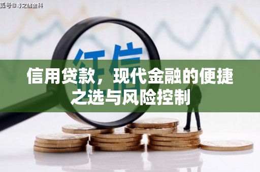 正宁信用贷款，现代金融的便捷之选与风险控制