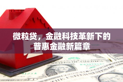 正宁微粒贷，金融科技革新下的普惠金融新篇章