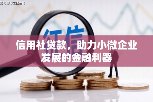 正宁信用社贷款，助力小微企业发展的金融利器
