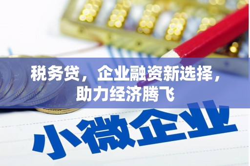 正宁税务贷，企业融资新选择，助力经济腾飞
