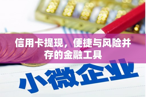 正宁信用卡提现，便捷与风险并存的金融工具