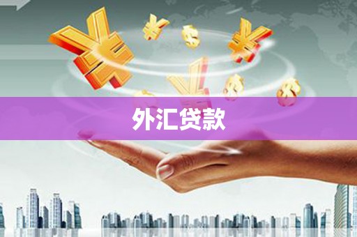 正宁外汇贷款