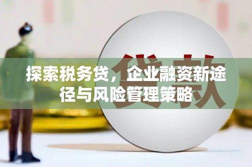 正宁探索税务贷，企业融资新途径与风险管理策略