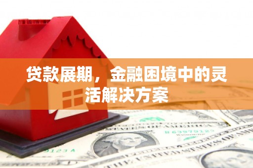 正宁贷款展期，金融困境中的灵活解决方案