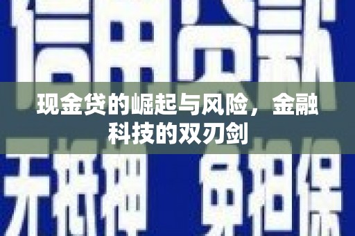 正宁现金贷的崛起与风险，金融科技的双刃剑