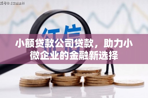 正宁小额贷款公司贷款，助力小微企业的金融新选择