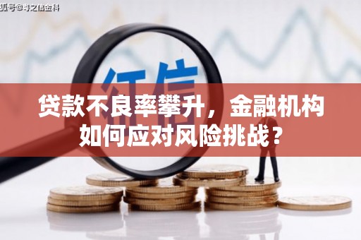 正宁贷款不良率攀升，金融机构如何应对风险挑战？