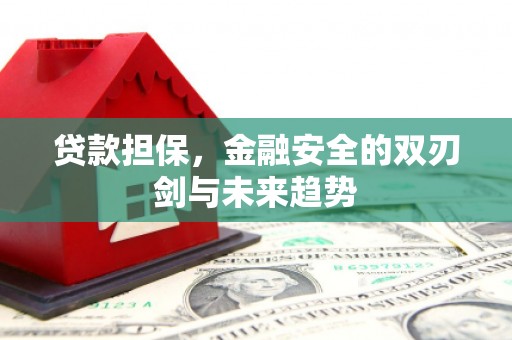 正宁贷款担保，金融安全的双刃剑与未来趋势
