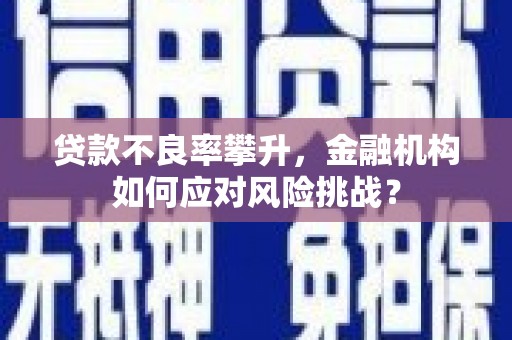 正宁贷款不良率攀升，金融机构如何应对风险挑战？