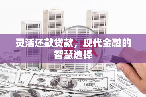 正宁灵活还款贷款，现代金融的智慧选择