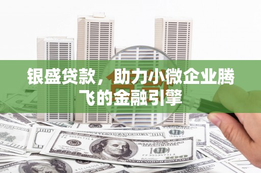 正宁银盛贷款，助力小微企业腾飞的金融引擎