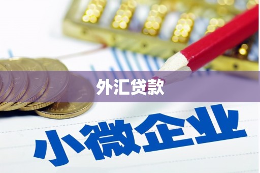 正宁外汇贷款