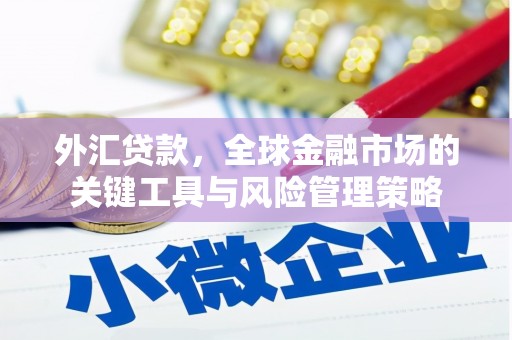 正宁外汇贷款，全球金融市场的关键工具与风险管理策略