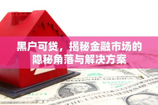正宁黑户可贷，揭秘金融市场的隐秘角落与解决方案