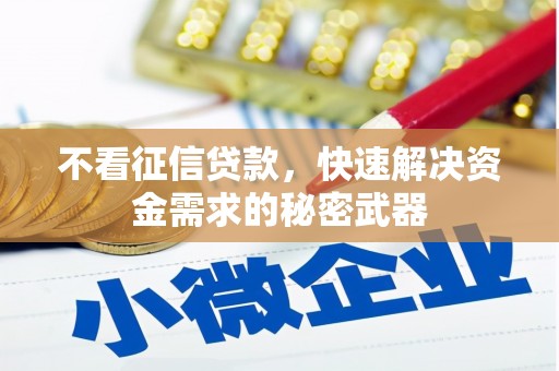 正宁不看征信贷款，快速解决资金需求的秘密武器