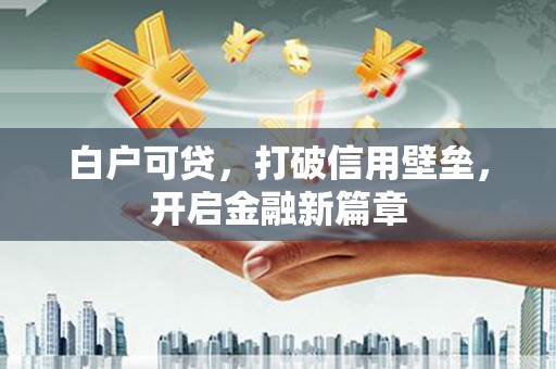 正宁白户可贷，打破信用壁垒，开启金融新篇章