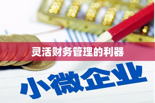 正宁灵活财务管理的利器