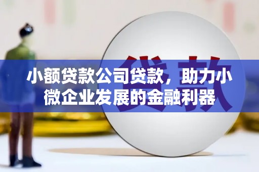 正宁小额贷款公司贷款，助力小微企业发展的金融利器